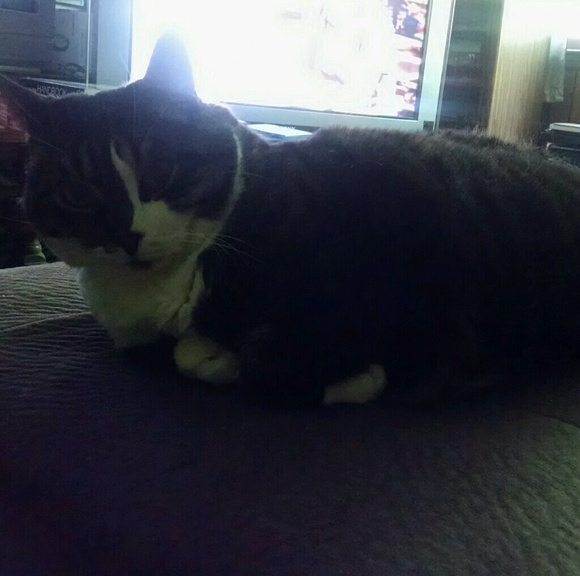 Meet your Posher, Jawn - Picture 1 of 1